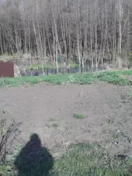 Продается дом Кононенково, Сумский, Сумская фото 6 Продается дом Кононенково, Сумский, Сумская фото 6