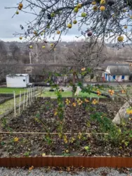 Продается дом Сумская, Сумы, Заречный, Аеропорт с/т Барвінок фото 8 Продается дом Сумская, Сумы, Заречный, Аеропорт с/т Барвінок фото 8