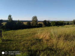 Продается дом Сумская, Сумский фото 10 Продается дом Сумская, Сумский фото 10