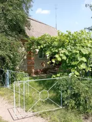 Дача біля річки фото 2 Дача біля річки фото 2