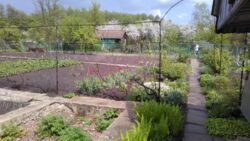 Дача Барановка фото 2 Дача Барановка фото 2