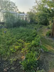 Продается дом Сумская, Сумы, Заречный, с/т Озерний НЕМ фото 12 Продается дом Сумская, Сумы, Заречный, с/т Озерний НЕМ фото 12