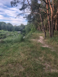 Продается дом Сумская, Сумы, Заречный, Барановка фото 16 Продается дом Сумская, Сумы, Заречный, Барановка фото 16