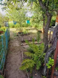 Продается дом Сумская, Сумы, Заречный, Олдиш 86 фото 8 Продается дом Сумская, Сумы, Заречный, Олдиш 86 фото 8