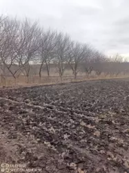 Продается дом Сумская, Сумский, Севериновка, по Білопільській трасі за Ганнівкою фото 7 Продается дом Сумская, Сумский, Севериновка, по Білопільській трасі за Ганнівкою фото 7