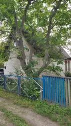 Продается дом Сумская, Сумы, Заречный, Олдиш, с/т Росинка фото 3 Продается дом Сумская, Сумы, Заречный, Олдиш, с/т Росинка фото 3