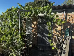 Продается дом Сумская, Сумы, Заречный, Чисті пруди, с/т Ремонтник фото 6 Продается дом Сумская, Сумы, Заречный, Чисті пруди, с/т Ремонтник фото 6