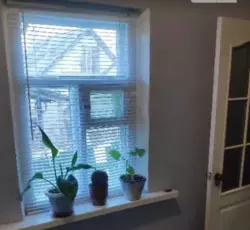 ��������� ��� �������, ����, ��������, ����������/ 5�� ������ ���� 5