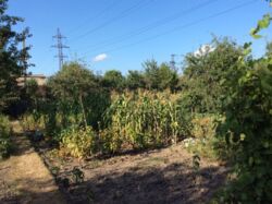 Дача Химгородок фото 2 Дача Химгородок фото 2