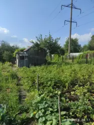 ��������� ��� �����������, ��� ���������, ����, �������, ������������ ���� 3