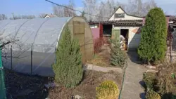 Продается дом СТ 'ХІМІК-2', Новоселица, Сумский, Сумская фото 2 Продается дом СТ 'ХІМІК-2', Новоселица, Сумский, Сумская фото 2