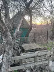 Продается дом Сумская, Сумы, Заречный, Козацький пр-т, с/т Авіатор фото 5 Продается дом Сумская, Сумы, Заречный, Козацький пр-т, с/т Авіатор фото 5