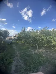 Продается дом / Старе село, Красное, Сумский, Сумская фото 13 Продается дом / Старе село, Красное, Сумский, Сумская фото 13