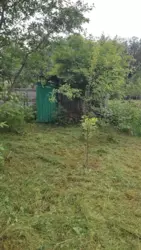 Продается дом Сумская, Сумы, Заречный, Олдиш, с/т Росинка фото 6 Продается дом Сумская, Сумы, Заречный, Олдиш, с/т Росинка фото 6