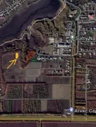 Продается дом Сумская, Сумский, Сад, С/ т 'Садівник - 1'. фото 6 Продается дом Сумская, Сумский, Сад, С/ т 'Садівник - 1'. фото 6