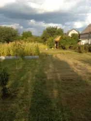 Продается дом Сумская, Сумский, Новоселица, станція Маяк с/т Хімік-2 фото 9 Продается дом Сумская, Сумский, Новоселица, станція Маяк с/т Хімік-2 фото 9