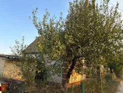 Продается дом с/т Чисті пруди, Сумы, Сумская, Заречный фото 6 Продается дом с/т Чисті пруди, Сумы, Сумская, Заречный фото 6