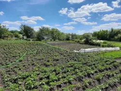 Продается дом Сумская, Сумы, Ковпаковский, Тополянська фото 3 Продается дом Сумская, Сумы, Ковпаковский, Тополянська фото 3