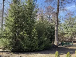 Продается дом Гетьманський парк, Климентово, Ахтырский, Сумская фото 9 Продается дом Гетьманський парк, Климентово, Ахтырский, Сумская фото 9