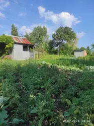 ��������� ��� �����������, ��� ���������, ����, �������, ������������ ���� 5