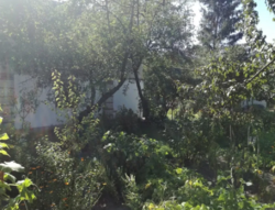 Продается дом Сумская, Сумы, Олдыш-86 (Басы) фото 2 Продается дом Сумская, Сумы, Олдыш-86 (Басы) фото 2