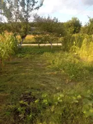 Продается дом Сумская, Сумский, Новоселица, станція Маяк с/т Хімік-2 фото 11 Продается дом Сумская, Сумский, Новоселица, станція Маяк с/т Хімік-2 фото 11