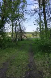 Продается дом Сумская, Сумский, Сад, С/ т 'Садівник - 1'. фото 3 Продается дом Сумская, Сумский, Сад, С/ т 'Садівник - 1'. фото 3