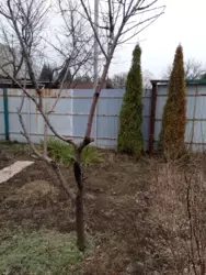 Продается дом Сумская, Сумы, Заречный, Баранівка , с/т Баранівка-1 фото 3 Продается дом Сумская, Сумы, Заречный, Баранівка , с/т Баранівка-1 фото 3