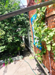 Продается дом Сумская, Сумы, Ковпаковский, Роменский микрорайон фото 2 Продается дом Сумская, Сумы, Ковпаковский, Роменский микрорайон фото 2