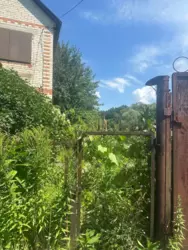 ��������� ��� ������ �������, ����, �������, �������� ���� 1