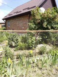 ��������� ��� �. ������ ϳ����, ����, �������, ������������ ���� 4