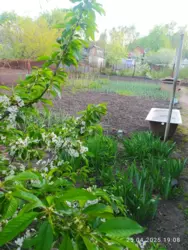 Продается дом Сумская, Сумы, Ковпаковский, р-н центрального ринку фото 6 Продается дом Сумская, Сумы, Ковпаковский, р-н центрального ринку фото 6