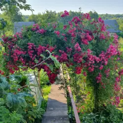 ��������� ��� �� ����������, �/� �������, ����, �������, �������� ���� 6