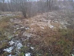 Продается дом Сумская, Сумы, Заречный, Баранівка с/т Енергетик-1 фото 3 Продается дом Сумская, Сумы, Заречный, Баранівка с/т Енергетик-1 фото 3