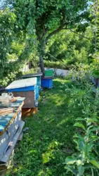 Продается дом Сумская, Сумы фото 12 Продается дом Сумская, Сумы фото 12