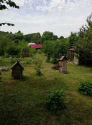 Продается дом Сумская, Сумский фото 11 Продается дом Сумская, Сумский фото 11