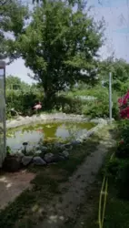 Продается дом Сумская, Сумы, Заречный, пл. Михаила Кощия,, 22 фото 5 Продается дом Сумская, Сумы, Заречный, пл. Михаила Кощия,, 22 фото 5