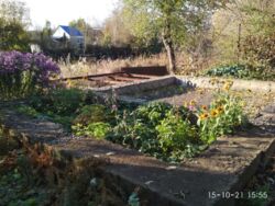 Дача Барановка фото 4 Дача Барановка фото 4