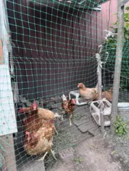 Продается дом Сумская, Сумы, Заречный, Кринична фото 5 Продается дом Сумская, Сумы, Заречный, Кринична фото 5