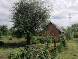 Продается дом Сумская, Сумы, Барановка фото 6 Продается дом Сумская, Сумы, Барановка фото 6