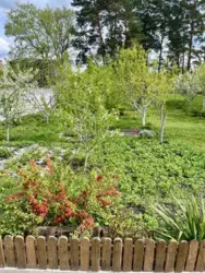 Продается дом Бишкинь, Лебединский, Сумская фото 14 Продается дом Бишкинь, Лебединский, Сумская фото 14