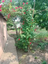 Продается дом Сумская, Сумы, Ковпаковский, Металургів фото 9 Продается дом Сумская, Сумы, Ковпаковский, Металургів фото 9