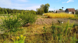 Продается дом Сумская, Сумский, Пушкаревка фото 3 Продается дом Сумская, Сумский, Пушкаревка фото 3