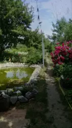 Продается дом Сумская, Сумы, Заречный, пл. Михаила Кощия,, 22 фото 6 Продается дом Сумская, Сумы, Заречный, пл. Михаила Кощия,, 22 фото 6