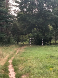 Продается дом Сумская, Сумы, Заречный, Барановка фото 13 Продается дом Сумская, Сумы, Заречный, Барановка фото 13