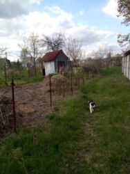 Продается дом Сумская, Сумы фото 2 Продается дом Сумская, Сумы фото 2