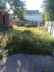 ��������� ��� �������, ����, ������������, ���� ���� 5