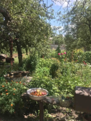 Продается дом Сумская, Сумы, Заречный, Черновола фото 9 Продается дом Сумская, Сумы, Заречный, Черновола фото 9