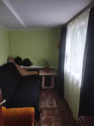 ��������� ��� ����, �������, ������� ���� 2