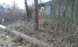 Продается дом Білопільський шлях с/т Фрунзенець, Сумы, Сумская, Ковпаковский фото 5 Продается дом Білопільський шлях с/т Фрунзенець, Сумы, Сумская, Ковпаковский фото 5